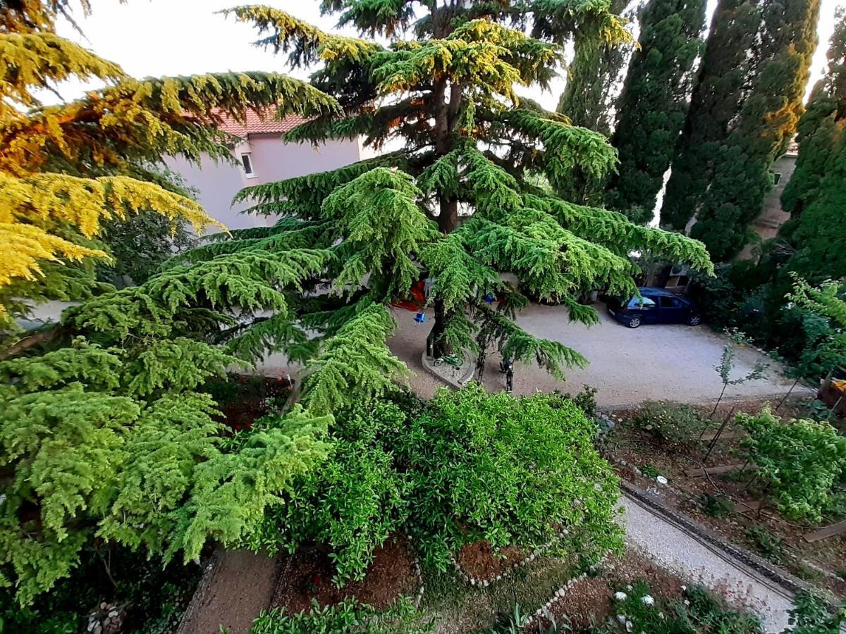 Villa Libe Baška Voda Exterior foto