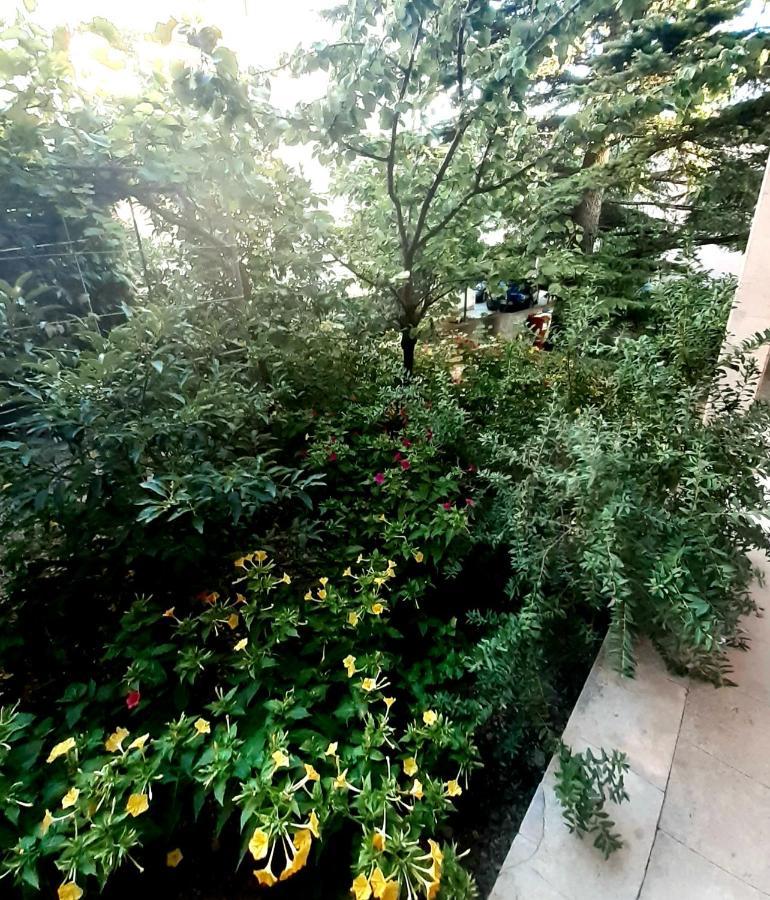 Villa Libe Baška Voda Exterior foto