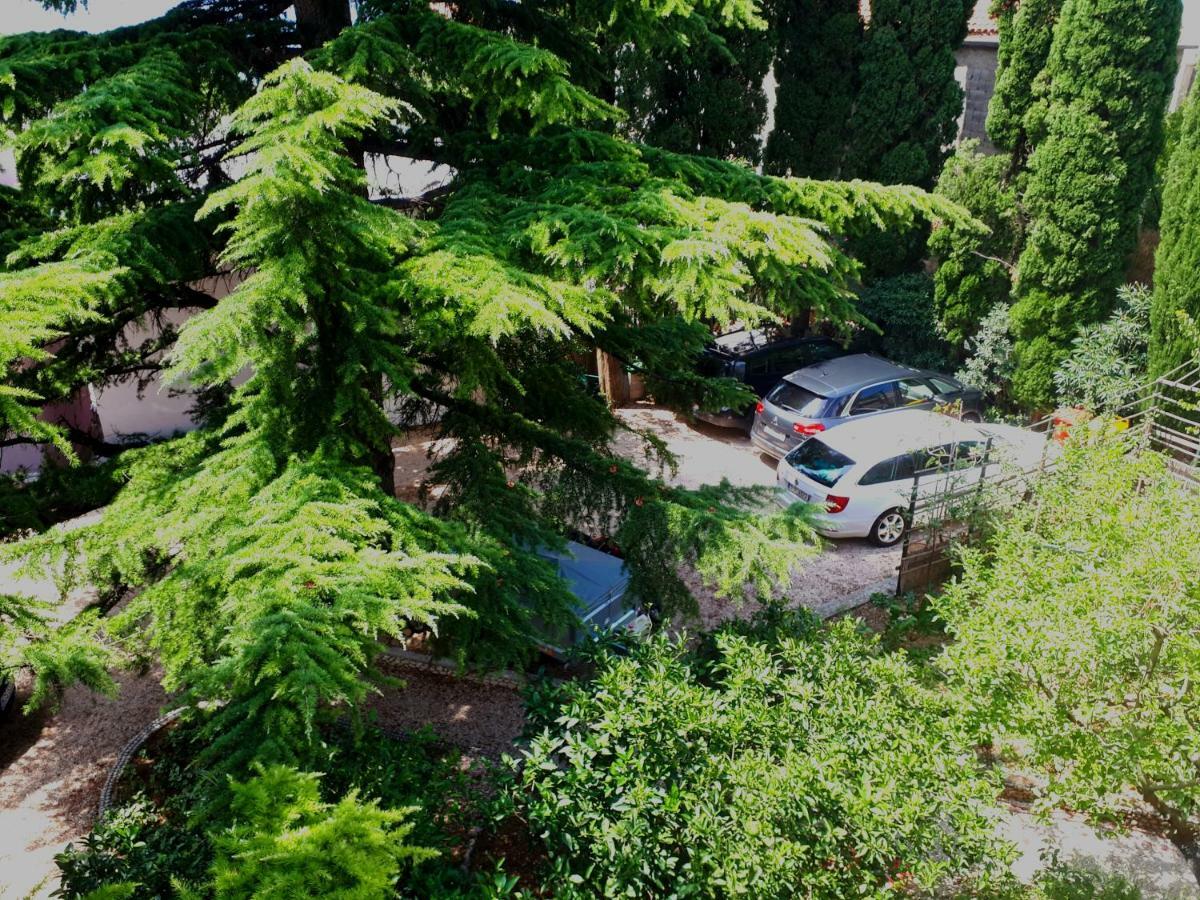 Villa Libe Baška Voda Exterior foto